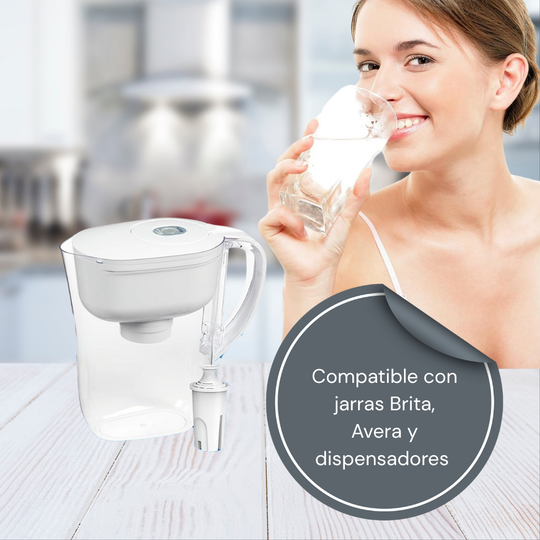 Pack of 4 Alkaline Water Filters for Pitcher and/or Container